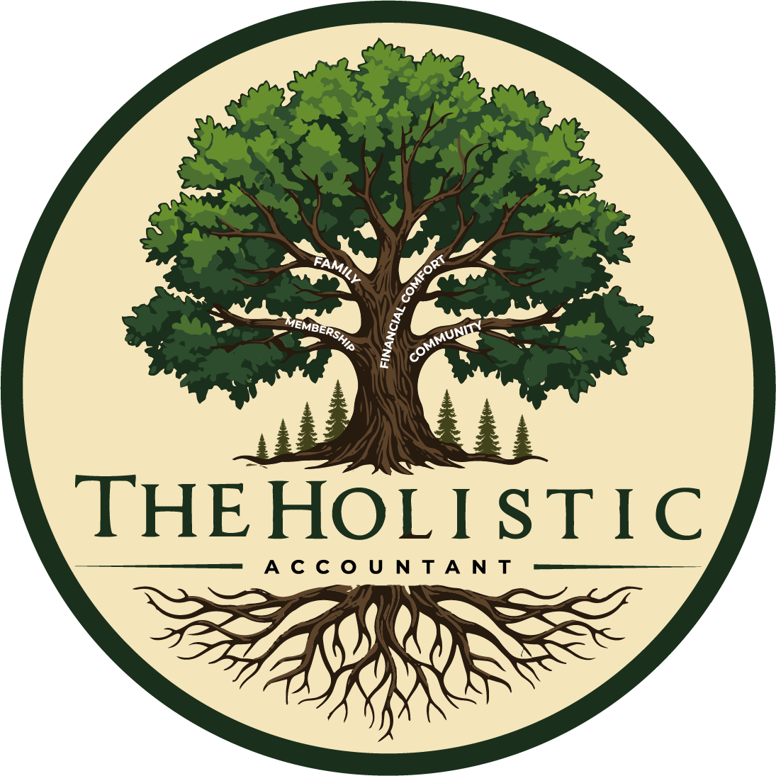 The Holistic Accountant